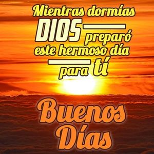 Meet your Posher, Sindy